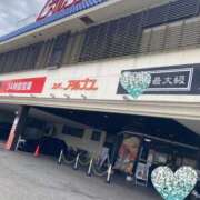 ヒメ日記 2025/05/03 19:26 投稿 唐澤 芹奈 白夜