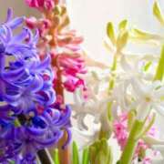 ヒメ日記 2025/05/25 11:49 投稿 唐澤 芹奈 白夜