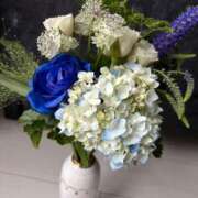 ヒメ日記 2025/06/11 18:06 投稿 唐澤 芹奈 白夜