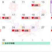 ヒメ日記 2025/06/14 14:52 投稿 唐澤 芹奈 白夜