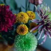 ヒメ日記 2025/06/23 19:36 投稿 唐澤 芹奈 白夜