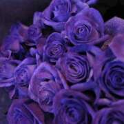 ヒメ日記 2025/10/20 09:09 投稿 唐澤 芹奈 白夜