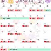 ヒメ日記 2025/11/03 18:11 投稿 唐澤 芹奈 白夜