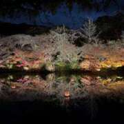 ヒメ日記 2025/12/05 22:33 投稿 唐澤 芹奈 白夜