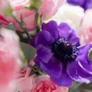 ヒメ日記 2026/01/26 13:17 投稿 唐澤 芹奈 白夜