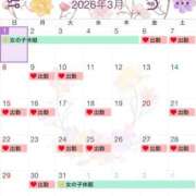 ヒメ日記 2026/03/01 12:05 投稿 唐澤 芹奈 白夜