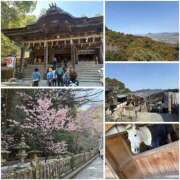 ヒメ日記 2026/03/13 15:57 投稿 唐澤 芹奈 白夜