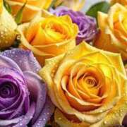 ヒメ日記 2026/04/21 21:58 投稿 唐澤 芹奈 白夜