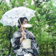 ヒメ日記 2026/08/29 12:21 投稿 唐澤 芹奈 白夜
