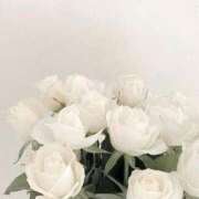 ヒメ日記 2025/02/25 14:55 投稿 新人・実杏(みあ) グランドオペラ福岡