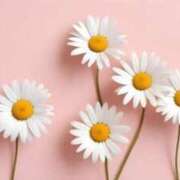 ヒメ日記 2025/03/07 09:19 投稿 新人・実杏(みあ) グランドオペラ福岡