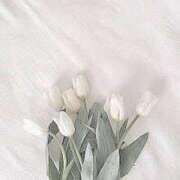 ヒメ日記 2025/03/07 10:49 投稿 新人・実杏(みあ) グランドオペラ福岡