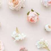 ヒメ日記 2025/03/28 08:31 投稿 新人・実杏(みあ) グランドオペラ福岡