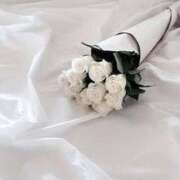 ヒメ日記 2025/04/06 08:21 投稿 新人・実杏(みあ) グランドオペラ福岡