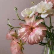 ヒメ日記 2025/04/22 07:35 投稿 新人・実杏(みあ) グランドオペラ福岡