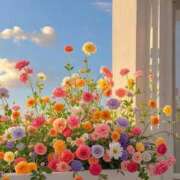 ヒメ日記 2025/06/01 14:21 投稿 新人・実杏(みあ) グランドオペラ福岡