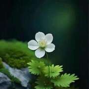 ヒメ日記 2025/06/01 14:51 投稿 新人・実杏(みあ) グランドオペラ福岡