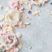 ヒメ日記 2025/06/01 16:11 投稿 新人・実杏(みあ) グランドオペラ福岡