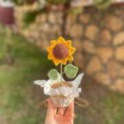 ヒメ日記 2025/06/03 09:17 投稿 新人・実杏(みあ) グランドオペラ福岡