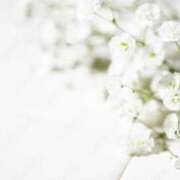 ヒメ日記 2025/06/03 15:20 投稿 新人・実杏(みあ) グランドオペラ福岡