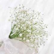 ヒメ日記 2025/06/04 07:01 投稿 新人・実杏(みあ) グランドオペラ福岡