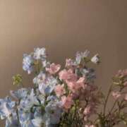 ヒメ日記 2025/06/05 23:59 投稿 新人・実杏(みあ) グランドオペラ福岡