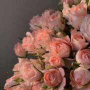 ヒメ日記 2025/06/06 23:41 投稿 新人・実杏(みあ) グランドオペラ福岡