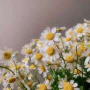 ヒメ日記 2025/06/09 07:12 投稿 新人・実杏(みあ) グランドオペラ福岡