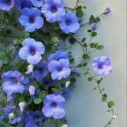 ヒメ日記 2025/06/10 07:21 投稿 新人・実杏(みあ) グランドオペラ福岡