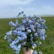 ヒメ日記 2025/06/12 10:02 投稿 新人・実杏(みあ) グランドオペラ福岡