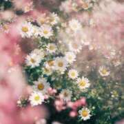 ヒメ日記 2025/06/14 07:21 投稿 新人・実杏(みあ) グランドオペラ福岡