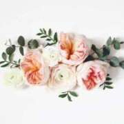 ヒメ日記 2025/06/15 07:51 投稿 新人・実杏(みあ) グランドオペラ福岡