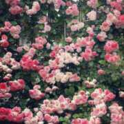 ヒメ日記 2025/06/19 20:02 投稿 新人・実杏(みあ) グランドオペラ福岡