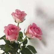 ヒメ日記 2025/06/20 17:07 投稿 新人・実杏(みあ) グランドオペラ福岡