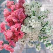 ヒメ日記 2025/06/27 00:01 投稿 新人・実杏(みあ) グランドオペラ福岡