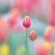 ヒメ日記 2025/06/28 12:11 投稿 新人・実杏(みあ) グランドオペラ福岡