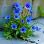 ヒメ日記 2025/06/29 12:23 投稿 新人・実杏(みあ) グランドオペラ福岡