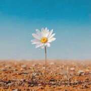 ヒメ日記 2025/07/02 15:02 投稿 新人・実杏(みあ) グランドオペラ福岡