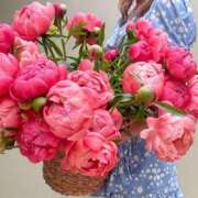 ヒメ日記 2025/07/08 00:01 投稿 新人・実杏(みあ) グランドオペラ福岡