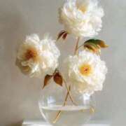 ヒメ日記 2025/07/15 00:01 投稿 新人・実杏(みあ) グランドオペラ福岡