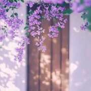 ヒメ日記 2025/07/15 15:02 投稿 新人・実杏(みあ) グランドオペラ福岡