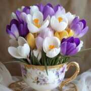 ヒメ日記 2025/07/19 07:11 投稿 新人・実杏(みあ) グランドオペラ福岡