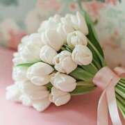 ヒメ日記 2025/07/20 00:01 投稿 新人・実杏(みあ) グランドオペラ福岡