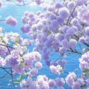 ヒメ日記 2025/07/23 14:02 投稿 新人・実杏(みあ) グランドオペラ福岡