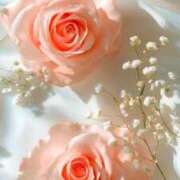 ヒメ日記 2025/07/24 13:10 投稿 新人・実杏(みあ) グランドオペラ福岡