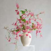 ヒメ日記 2025/07/25 07:01 投稿 新人・実杏(みあ) グランドオペラ福岡