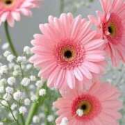 ヒメ日記 2025/07/25 12:28 投稿 新人・実杏(みあ) グランドオペラ福岡