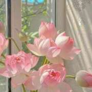 ヒメ日記 2025/07/28 14:02 投稿 新人・実杏(みあ) グランドオペラ福岡