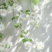 ヒメ日記 2025/07/31 00:01 投稿 新人・実杏(みあ) グランドオペラ福岡