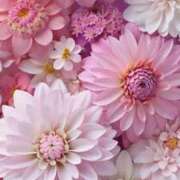 ヒメ日記 2025/07/31 07:11 投稿 新人・実杏(みあ) グランドオペラ福岡